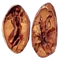 carupano pintao seed