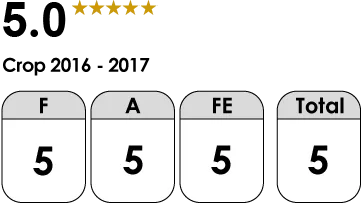 Carupano Pintao Classification