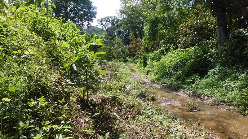 Carupano location