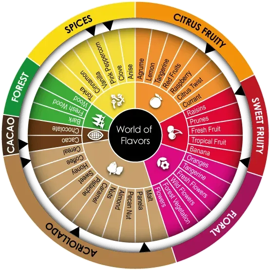 Cocoa flavor wheel showing Carupano Pintao characteristic citrus and spice notes
