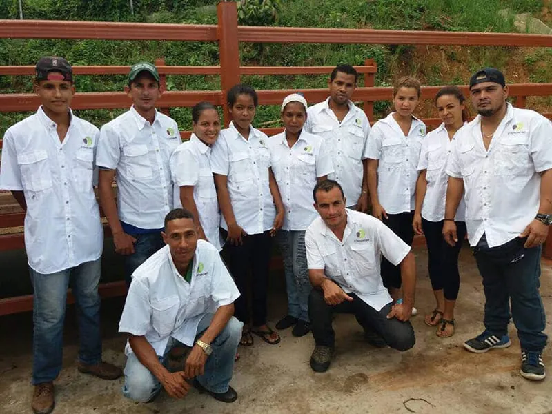 Carupano farmers working in the cocoa plantation
