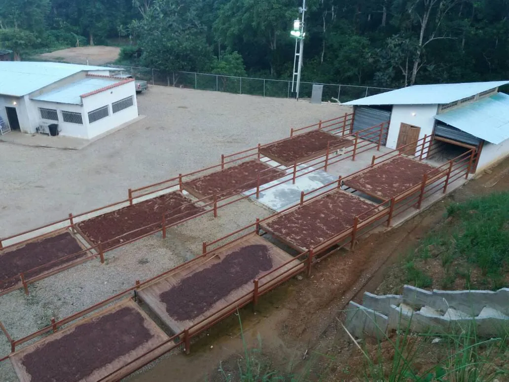 Photographic mosaic of cocoa production in Carupano